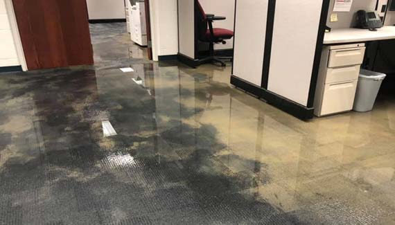 Carpeted floor soaked with water, showing visible damage