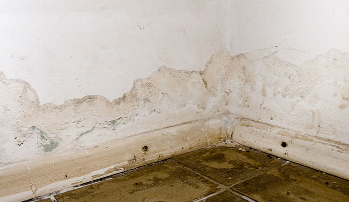 Water damaged wall corner