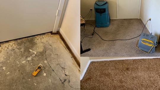 Water Removal Service