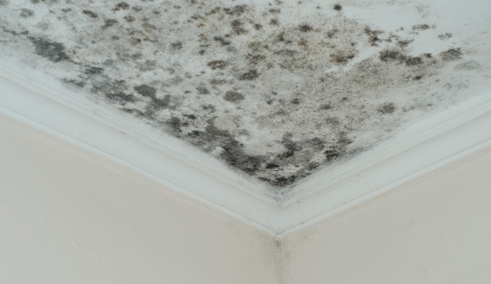 Discolored or stained ceiling