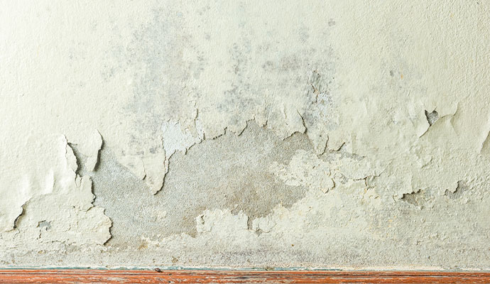 Peeling paint and water-damaged drywall on an interior wall.