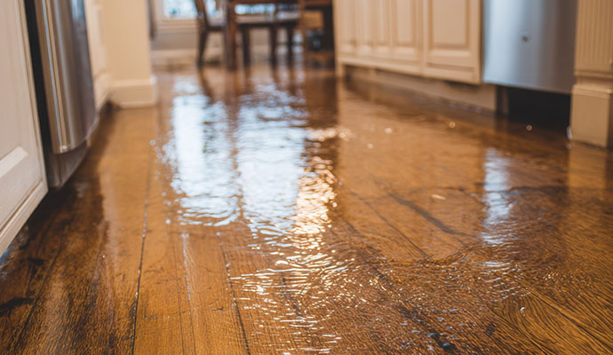 Standing water covering hardwood flooring in a kitchen.