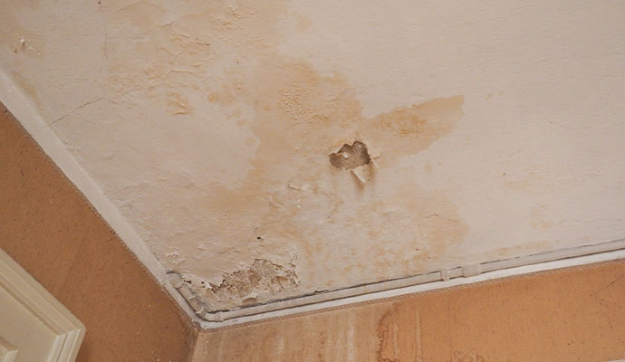 Water damage and peeling plaster on a ceiling and wall.