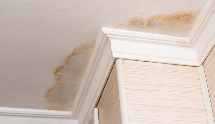 Water damage stain on ceiling and crown molding.